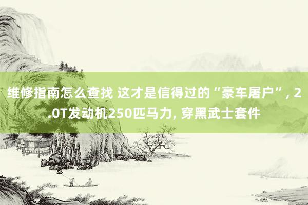 维修指南怎么查找 这才是信得过的“豪车屠户”, 2.0T发动机250匹马力, 穿黑武士套件