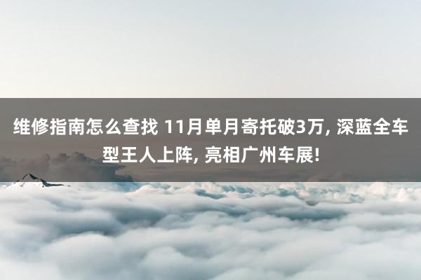 维修指南怎么查找 11月单月寄托破3万, 深蓝全车型王人上阵, 亮相广州车展!