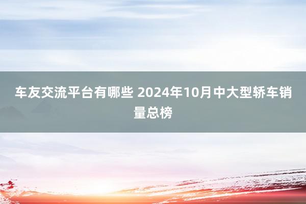 车友交流平台有哪些 2024年10月中大型轿车销量总榜