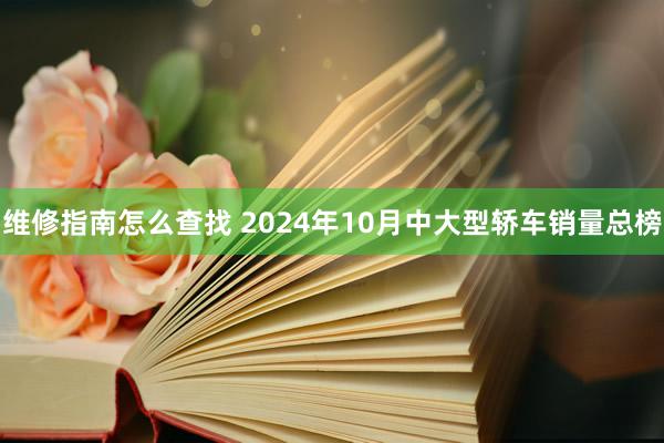 维修指南怎么查找 2024年10月中大型轿车销量总榜