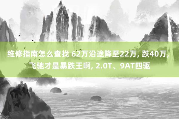 维修指南怎么查找 62万沿途降至22万, 跌40万, 飞驰才是暴跌王啊, 2.0T、9AT四驱