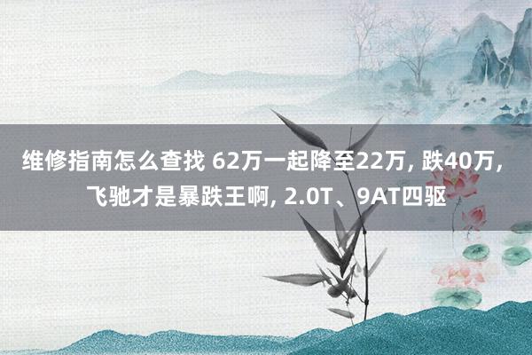 维修指南怎么查找 62万一起降至22万, 跌40万, 飞驰才是暴跌王啊, 2.0T、9AT四驱