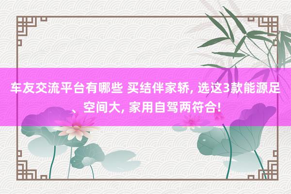 车友交流平台有哪些 买结伴家轿, 选这3款能源足、空间大, 家用自驾两符合!