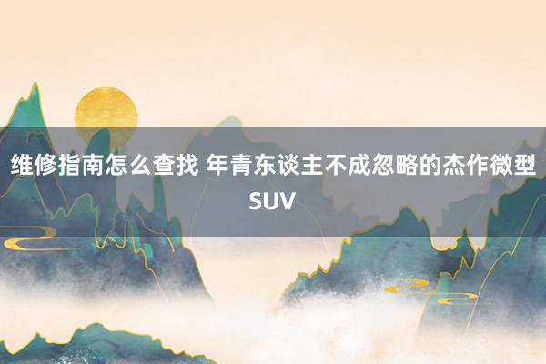 维修指南怎么查找 年青东谈主不成忽略的杰作微型SUV