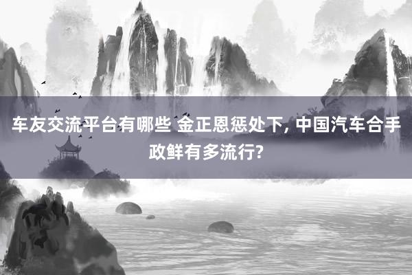 车友交流平台有哪些 金正恩惩处下, 中国汽车合手政鲜有多流行?