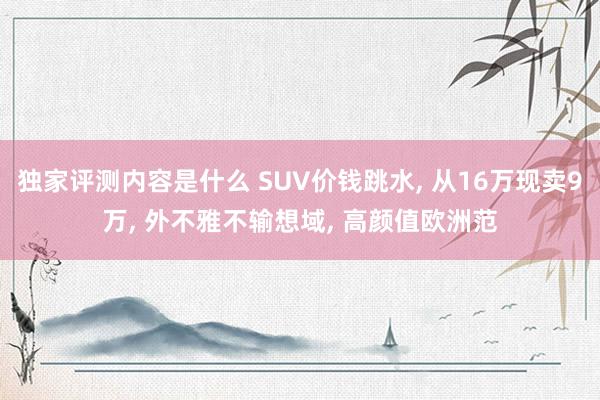 独家评测内容是什么 SUV价钱跳水, 从16万现卖9万, 外不雅不输想域, 高颜值欧洲范