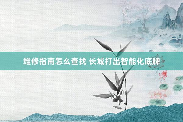 维修指南怎么查找 长城打出智能化底牌