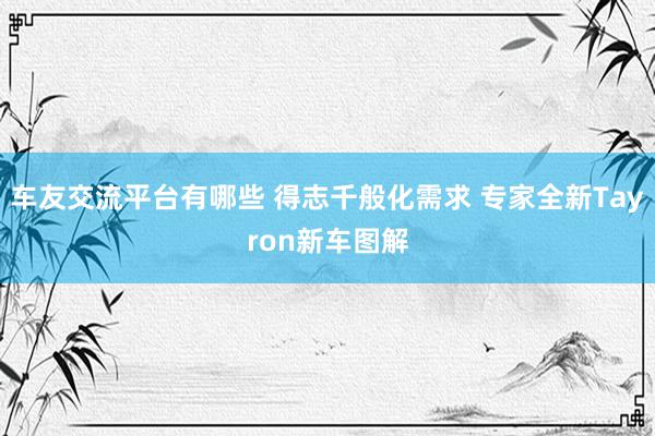 车友交流平台有哪些 得志千般化需求 专家全新Tayron新车图解