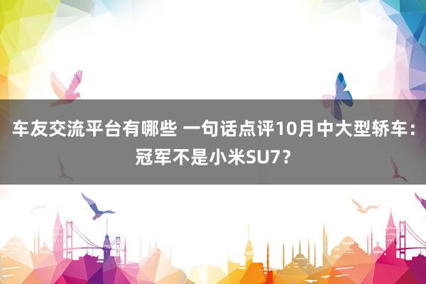 车友交流平台有哪些 一句话点评10月中大型轿车：冠军不是小米SU7？