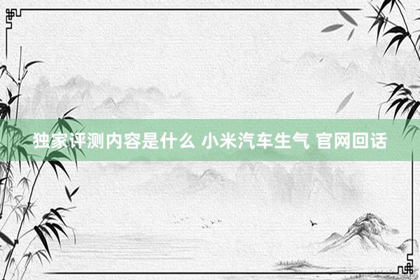 独家评测内容是什么 小米汽车生气 官网回话