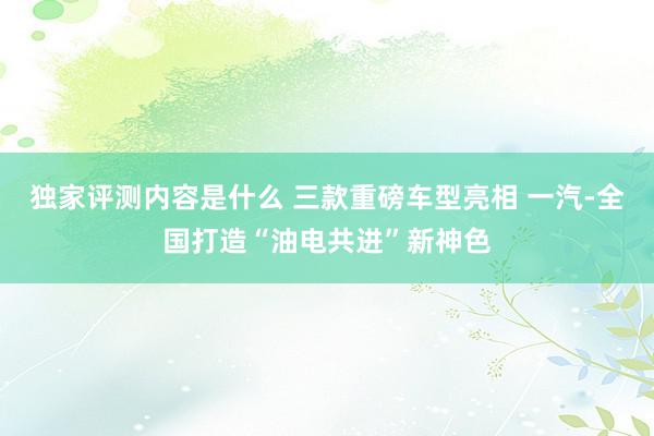 独家评测内容是什么 三款重磅车型亮相 一汽-全国打造“油电共进”新神色