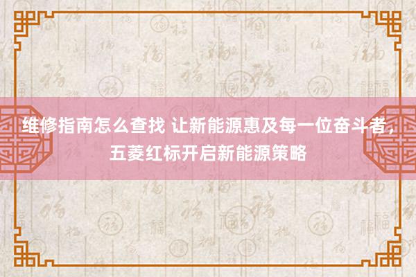 维修指南怎么查找 让新能源惠及每一位奋斗者，五菱红标开启新能源策略