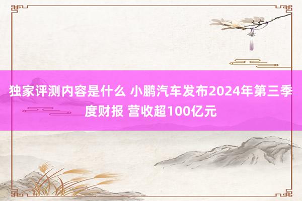 独家评测内容是什么 小鹏汽车发布2024年第三季度财报 营收超100亿元