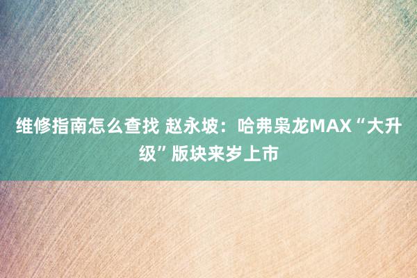 维修指南怎么查找 赵永坡：哈弗枭龙MAX“大升级”版块来岁上市