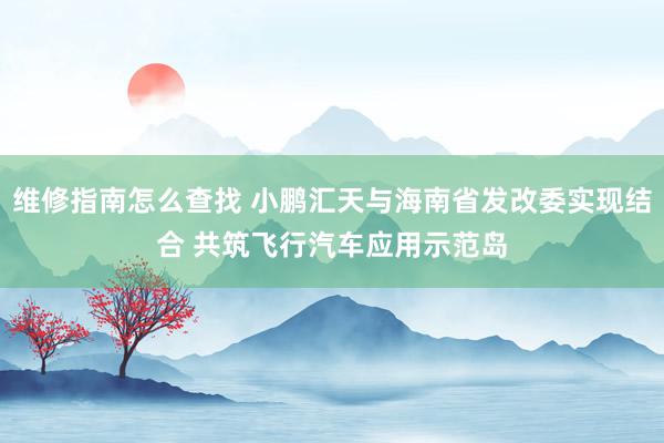 维修指南怎么查找 小鹏汇天与海南省发改委实现结合 共筑飞行汽车应用示范岛