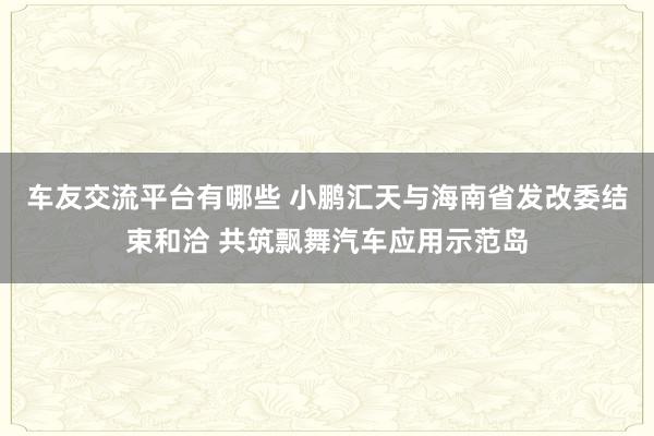 车友交流平台有哪些 小鹏汇天与海南省发改委结束和洽 共筑飘舞汽车应用示范岛