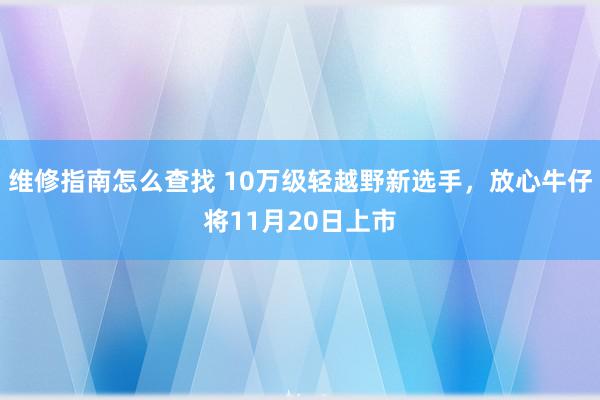 维修指南怎么查找 10万级轻越野新选手，放心牛仔将11月20日上市