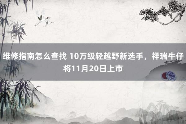 维修指南怎么查找 10万级轻越野新选手，祥瑞牛仔将11月20日上市